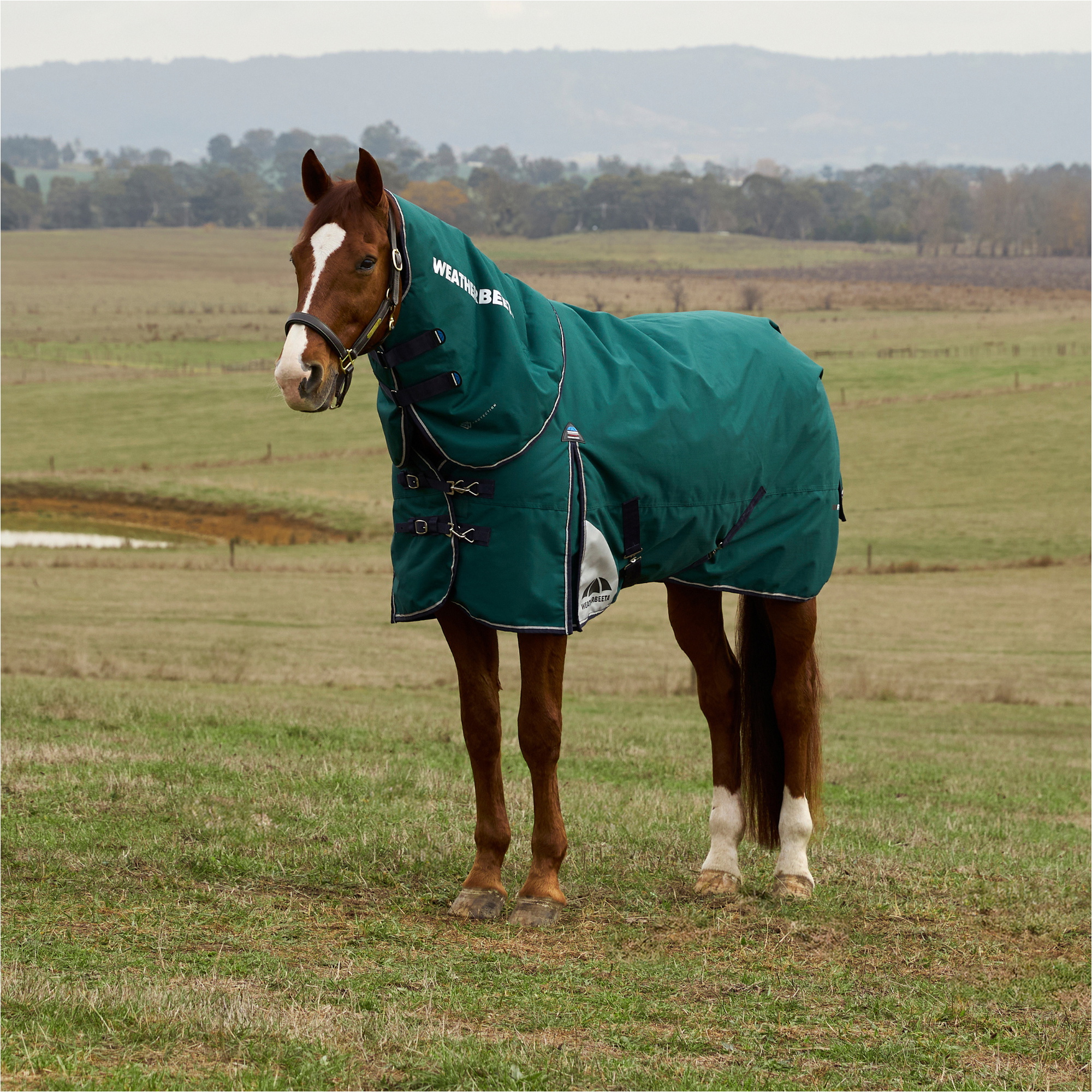 2025 Weatherbeeta Comfitec Plus Dynamic Turnout Detach - A - Neck 1029004 - Forest Green